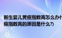 新生婴儿黄疸指数高怎么办什么是婴儿黄疸(导致新生婴儿黄疸指数高的原因是什么?)