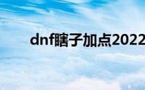 dnf瞎子加点2022(DNF瞎子加点图)
