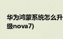 华为鸿蒙系统怎么升级(华为鸿蒙系统怎么升级nova7)