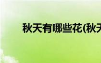 秋天有哪些花(秋天有哪些花草树木)