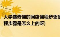 大学选修课的网络课程步骤是怎么上的(大学选修课的网络课程步骤是怎么上的呀)