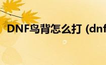 DNF鸟背怎么打 (dnf鸟背怎么打引导模式)