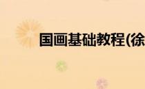 国画基础教程(徐湛国画基础教程)