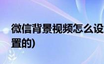 微信背景视频怎么设置(微信背景视频怎么设置的)