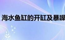 海水鱼缸的开缸及暴躁步骤(海水鱼如何开缸)