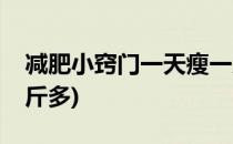 减肥小窍门一天瘦一斤(减肥小窍门一天瘦一斤多)