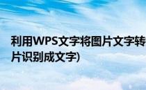利用WPS文字将图片文字转换为WPS可识别的文字(wps图片识别成文字)