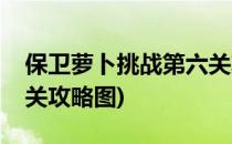 保卫萝卜挑战第六关攻略(保卫萝卜挑战第六关攻略图)
