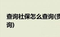 查询社保怎么查询(贵州个人查询社保怎么查询)