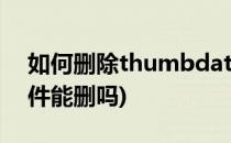 如何删除thumbdata4文件(thumbdata文件能删吗)