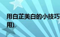 用白芷美白的小技巧(白芷怎么用效果好怎么用)