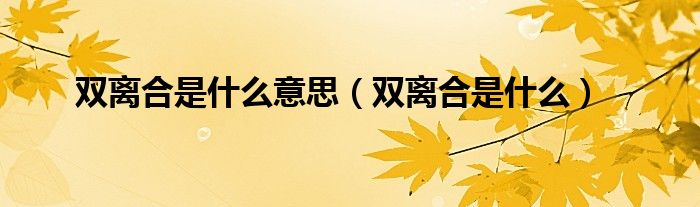 双离合是什么意思（双离合是什么）