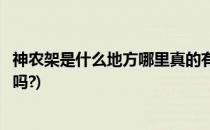 神农架是什么地方哪里真的有野人吗(神农架真的有野人出没吗?)