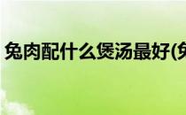 兔肉配什么煲汤最好(兔肉配什么煲汤最好喝)