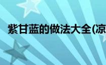 紫甘蓝的做法大全(凉拌紫甘蓝的做法大全)