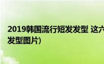 2019韩国流行短发发型 这六款人气超高(韩国最流行的短发发型图片)