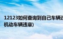 12123如何查询到自己车辆违章情况(如何在交管12123查询机动车辆违章)