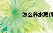 怎么养水蕨(蕨类能水养吗)