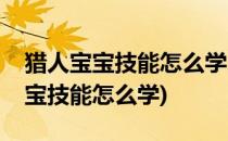 猎人宝宝技能怎么学(魔兽世界怀旧服猎人宝宝技能怎么学)