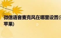 微信语音麦克风在哪里设置(微信语音麦克风在哪里设置开关苹果)