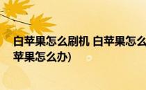 白苹果怎么刷机 白苹果怎么修复恢复(白苹果刷机后还是白苹果怎么办)