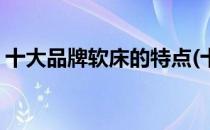 十大品牌软床的特点(十大品牌软床的特点是)