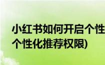 小红书如何开启个性化推荐(小红书如何开启个性化推荐权限)