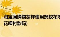 淘宝网购物怎样使用蚂蚁花呗付款(淘宝网购物怎样使用蚂蚁花呗付款码)