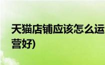 天猫店铺应该怎么运营(天猫店铺应该怎么运营好)