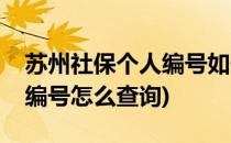 苏州社保个人编号如何查询(苏州社保的个人编号怎么查询)