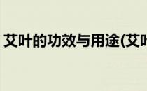 艾叶的功效与用途(艾叶的功效与用途是什么)