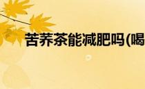 苦荞茶能减肥吗(喝黑苦荞茶能减肥吗)
