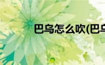 巴乌怎么吹(巴乌怎么吹孤勇者)