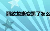 丽纹龙蜥变黑了怎么办(丽纹龙蜥怎么养)