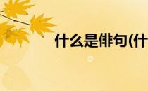 什么是俳句(什么是俳句体裁)