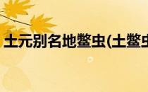 土元别名地鳖虫(土鳖虫和土元是一种药材吗)