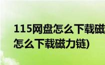 115网盘怎么下载磁力链接(115网盘手机端怎么下载磁力链)