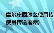 摩尔庄园怎么使用传送蘑菇(摩尔庄园中怎么使用传送蘑菇)