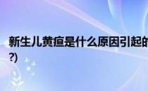 新生儿黄疸是什么原因引起的(新生儿黄疸是什么原因引起的?)