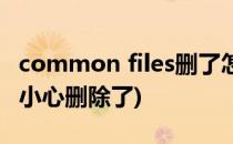 common files删了怎么办(common files不小心删除了)
