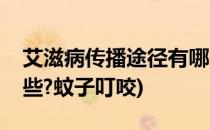 艾滋病传播途径有哪些(艾滋病传播途径有哪些?蚊子叮咬)