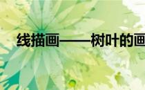 线描画——树叶的画法(线描画树叶简单)