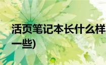 活页笔记本长什么样(活页笔记本用多大的好一些)