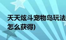 天天炫斗宠物岛玩法讲解(天天炫斗战斗宠物怎么获得)