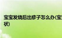 宝宝发烧后出疹子怎么办(宝宝发烧后出疹子怎么办有哪些症状)