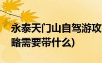 永泰天门山自驾游攻略(永泰天门山自驾游攻略需要带什么)