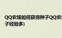 QQ农场如何获得种子QQ农场如何种植植物(qq农场什么种子经验多)
