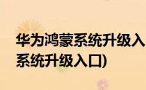 华为鸿蒙系统升级入口在哪里(华为手机鸿蒙系统升级入口)