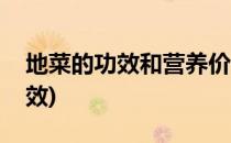 地菜的功效和营养价值(地菜有什么营养和功效)