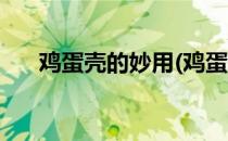 鸡蛋壳的妙用(鸡蛋壳的妙用看图写话)